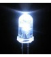 5mm Clear Lens LED White